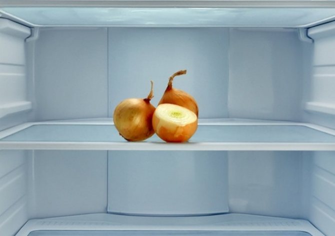 лук