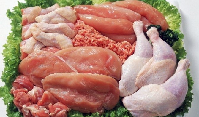 мясо птицы